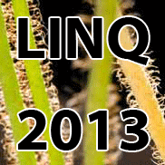 LINQ_2013_logo_animated.pdf