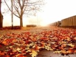 big_200827022101592735